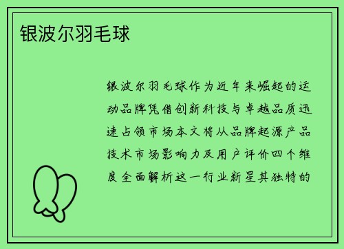 银波尔羽毛球